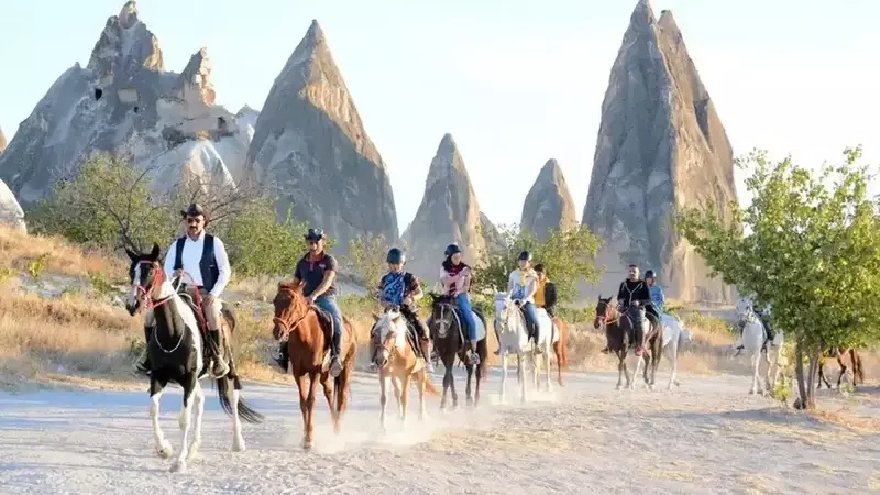 Group Horse Riding Tour